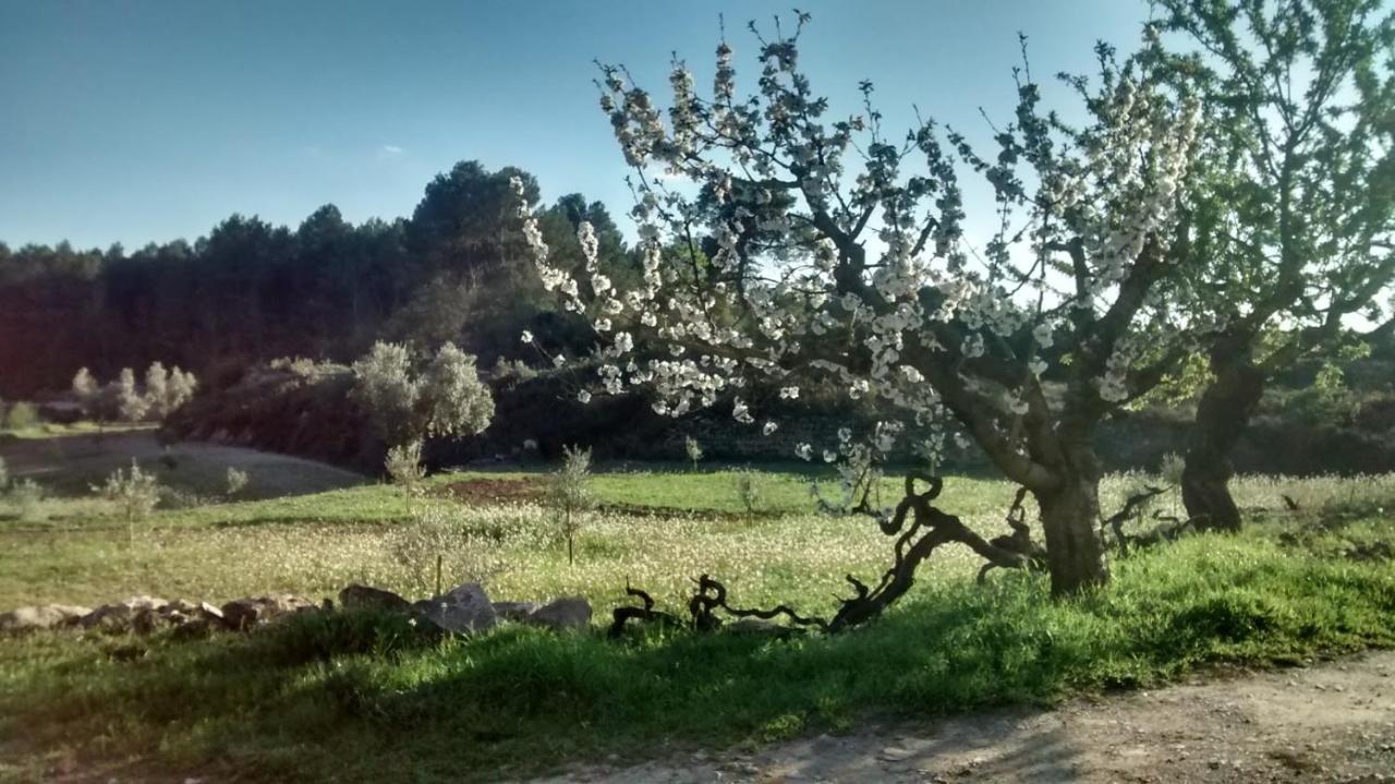 Casa Rumbet Horta de Sant Joan Esterno foto